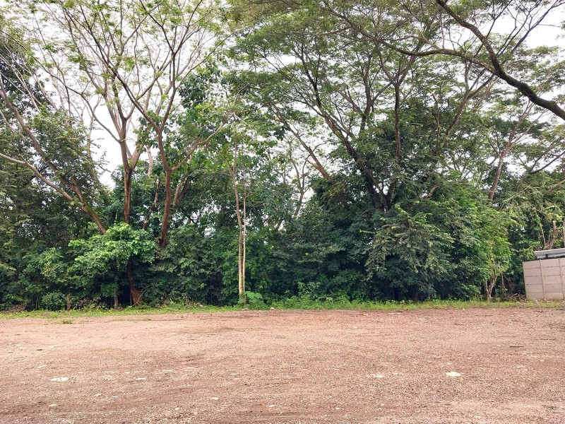 Land For Sale in Samara Costa Rica